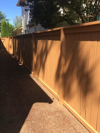 Exterior Fence Painting