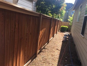Exterior Painted Fence