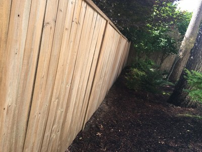 Before Fence repaint