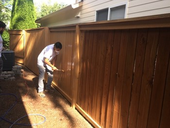 Painting Exterior Fence